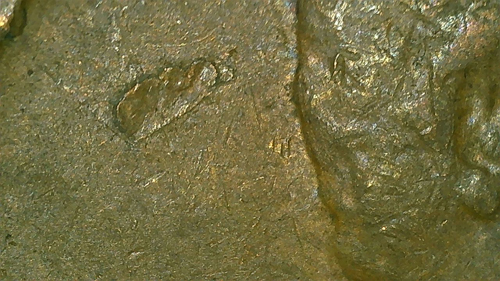 1958-Wheat-Penny-Foreign-Object-Mark?